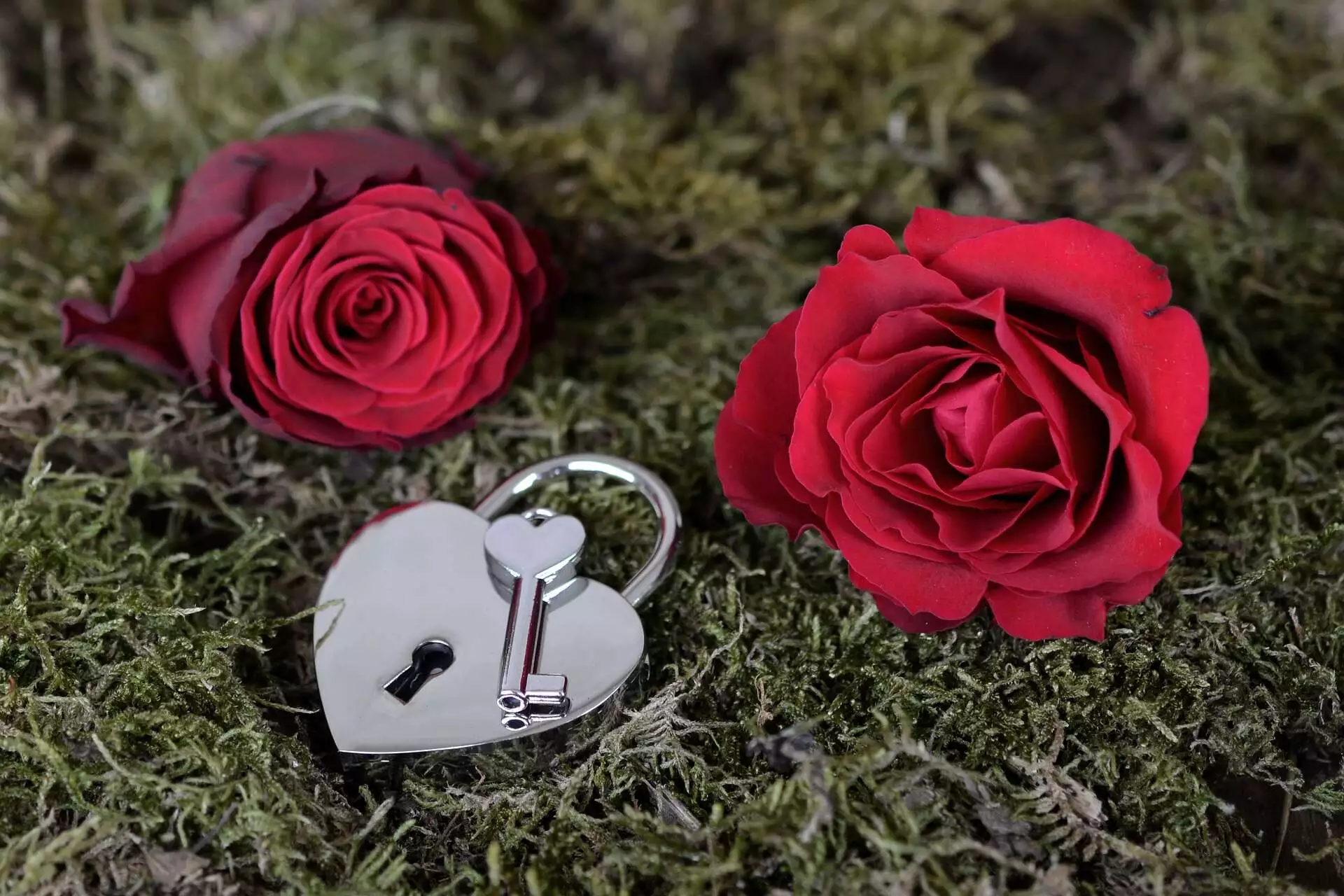 Counselling to Plan an Open Relationship LGBT Couples & Open Relationships