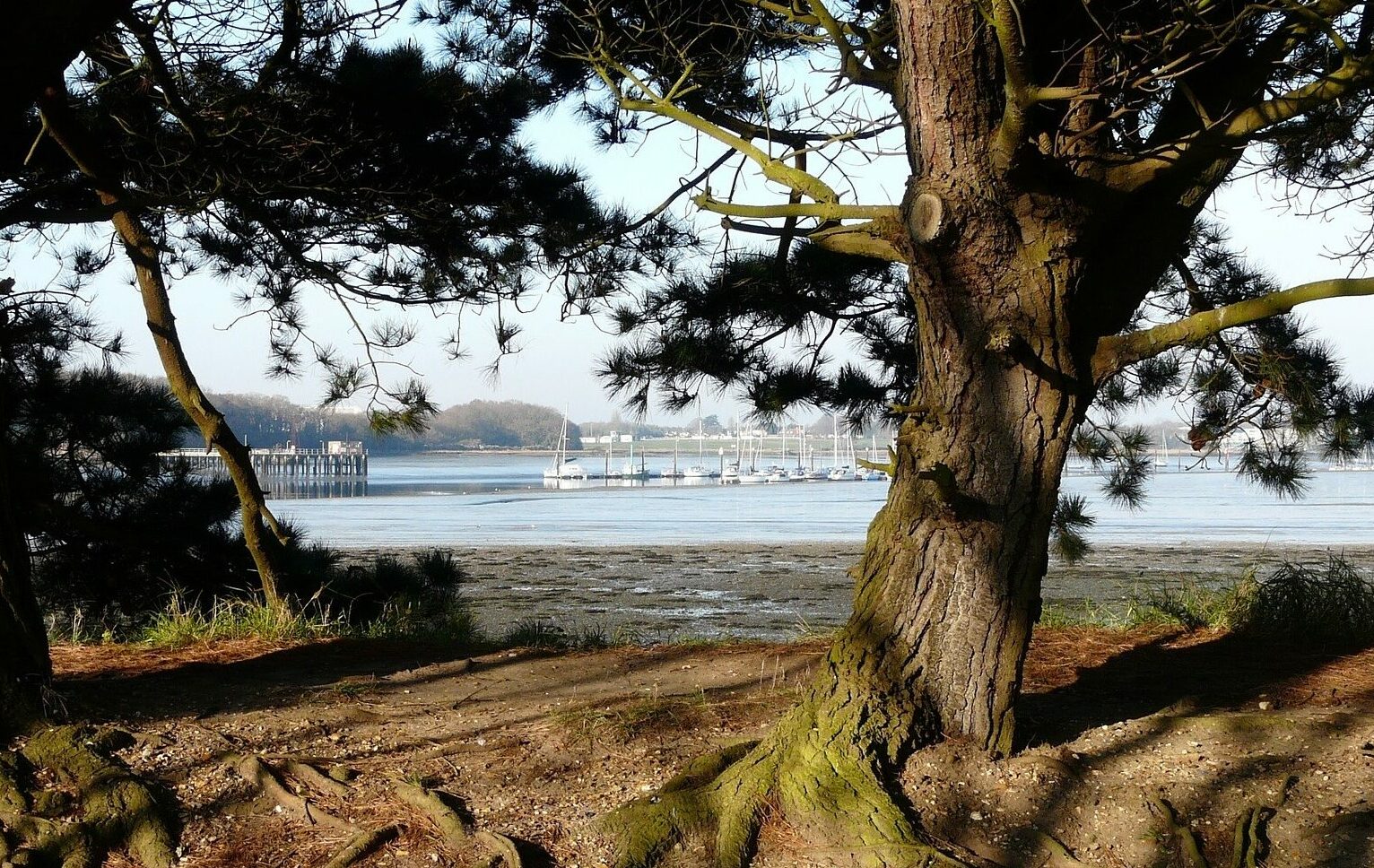 LGBT Couple Counselling Primary Image