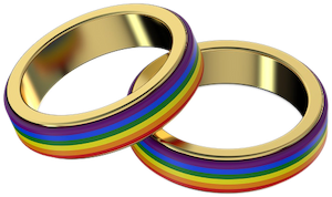 Gay Marriage Wedding Rings