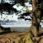 Fareham Creek