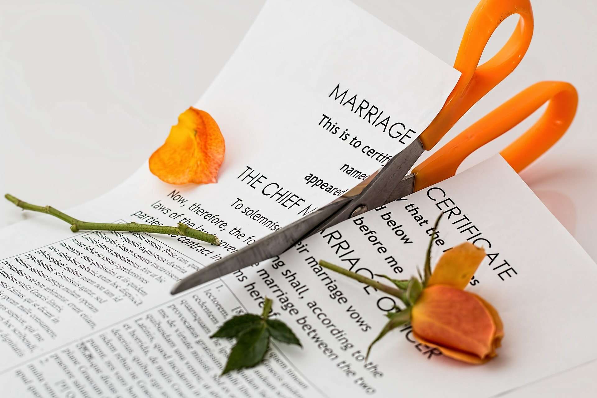 LGBT Breakups - Counselling Separation Planning LGBT+ Commitment Ceremony Rings